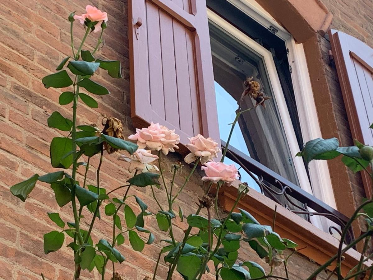 博洛尼亚Casina Delle Rose公寓 外观 照片